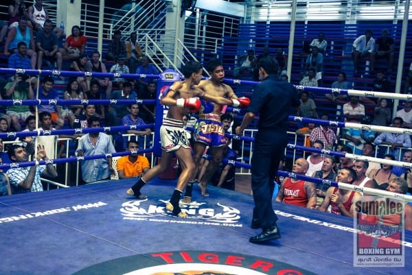 Hamiid Body Fighting Club KO