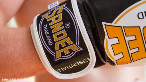 Product Review: Sandee 'Essentials' Velcro Synthetic Boxing Glove