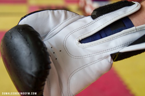 Product Review: Sandee 'Essentials' Velcro Synthetic Boxing Glove